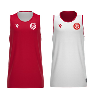 LIONS Macron Trainingsshirt Herren